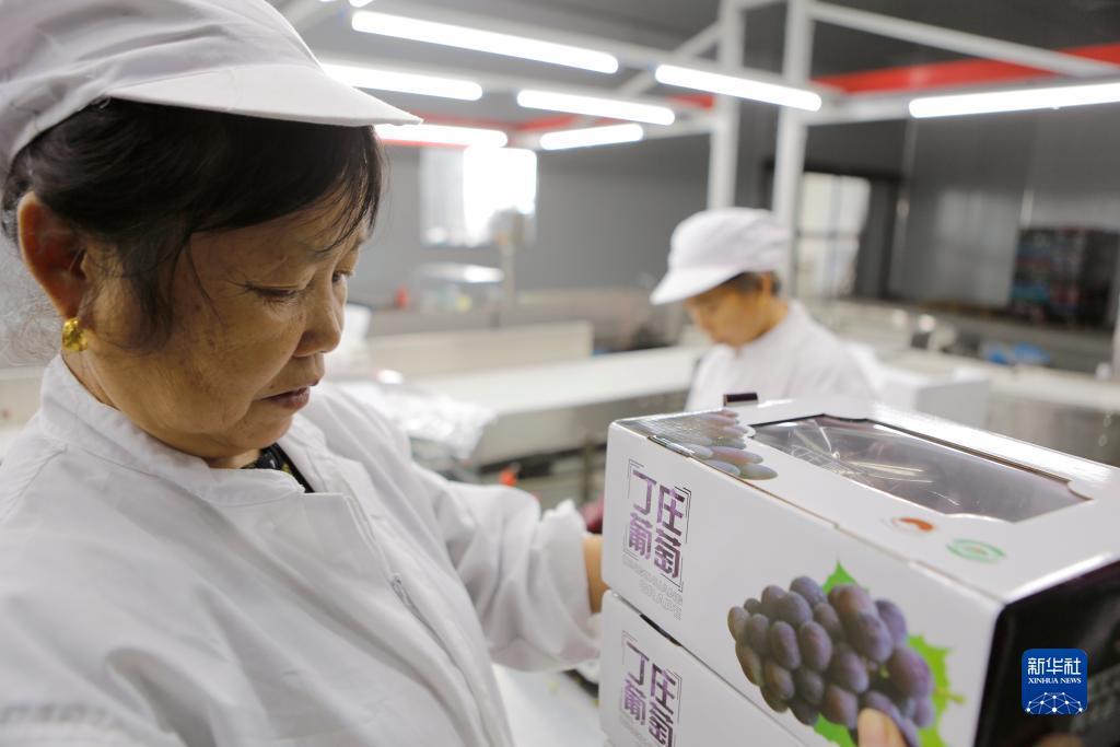 最新奔驰游戏网址